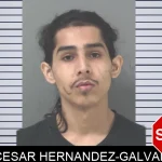 Cesar Hernandez-Galvan mugshot – Douglas County , Georgia Cesar Hernandez-Galvan mugshot