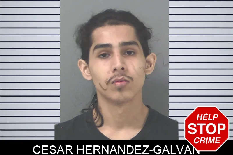 Cesar Hernandez-Galvan mugshot – Douglas County , Georgia Cesar Hernandez-Galvan mugshot
