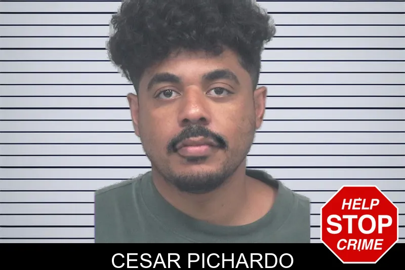 Cesar Pichardo mugshot
