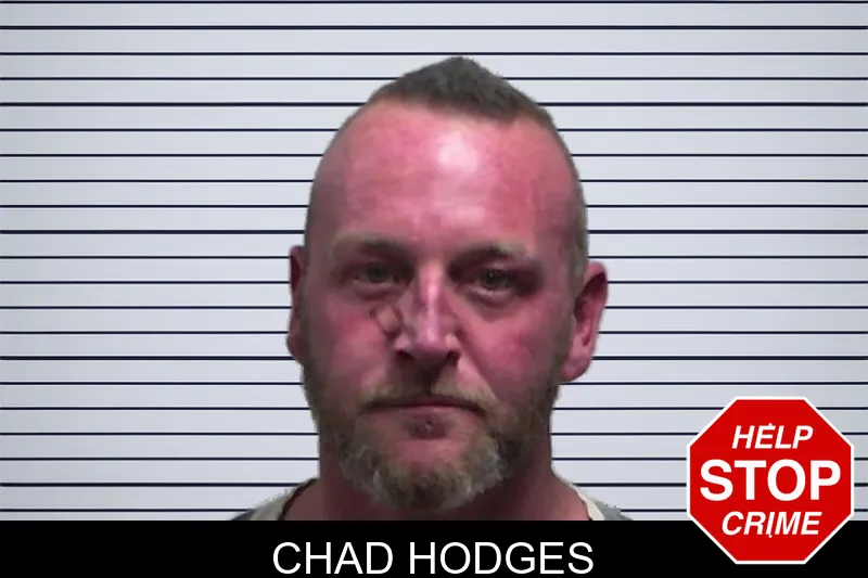 Chad Hodges mugshot