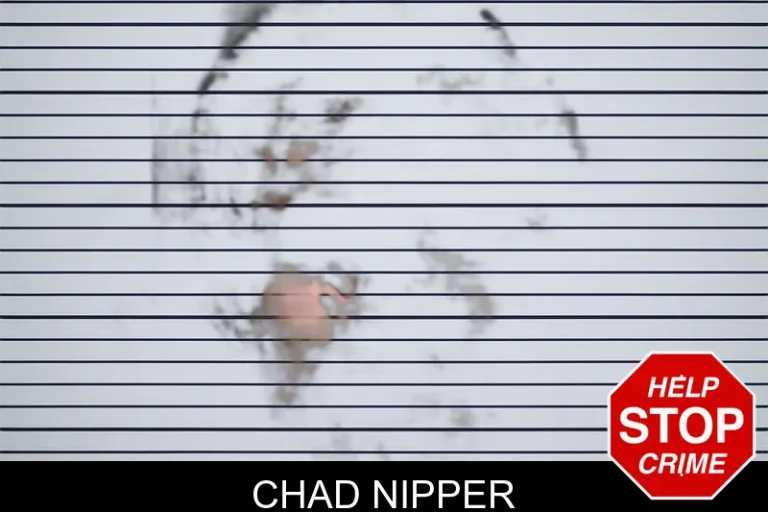 Chad Nipper mugshot – Bacon County , Georgia Chad Nipper