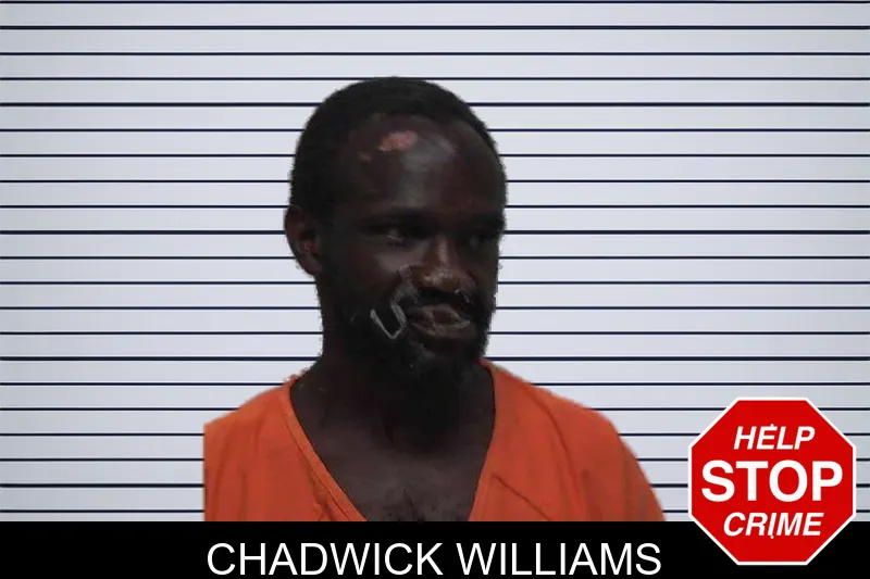 Chadwick Williams mugshot