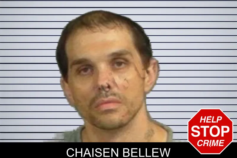 Chaisen Bellew mugshot