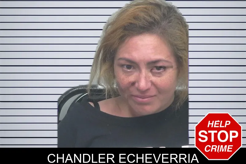 Chandler Echeverria mugshot – Gwinnett County , Georgia Chandler Echeverria mugshot