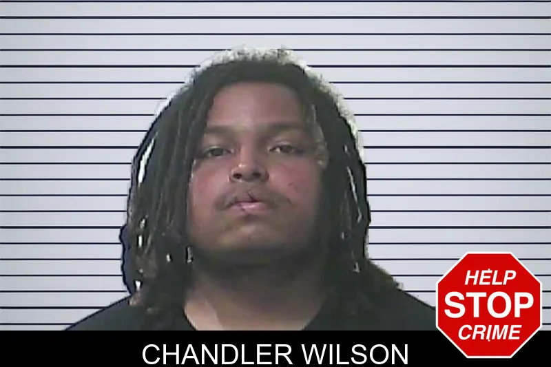 Chandler Wilson mugshot