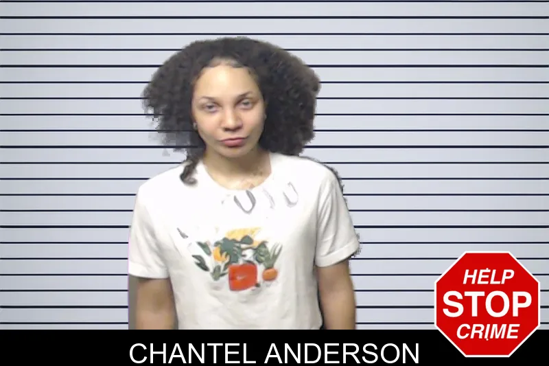 Chantel Anderson mugshot – DeKalb County , Georgia Chantel Anderson mugshot