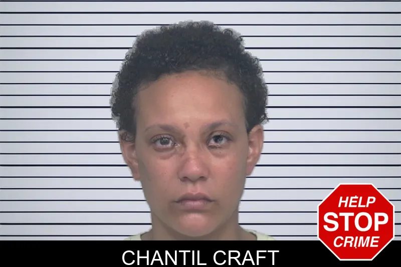 Chantil Craft mugshot – Gwinnett County , Georgia Chantil Craft mugshot