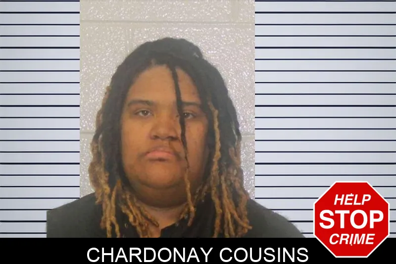 Chardonay Cousins mugshot