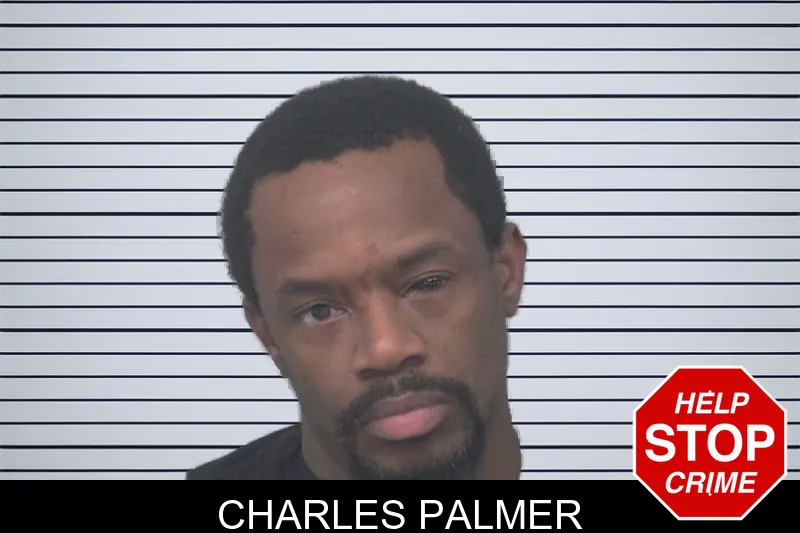 Charles Palmer mugshot