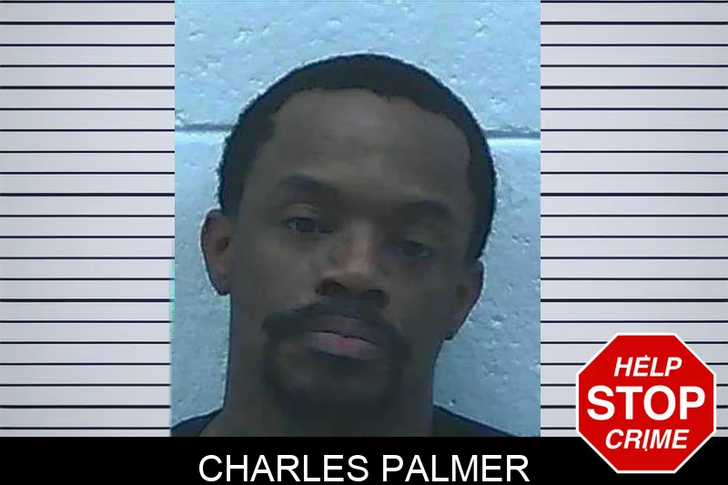 Charles Palmer mugshot