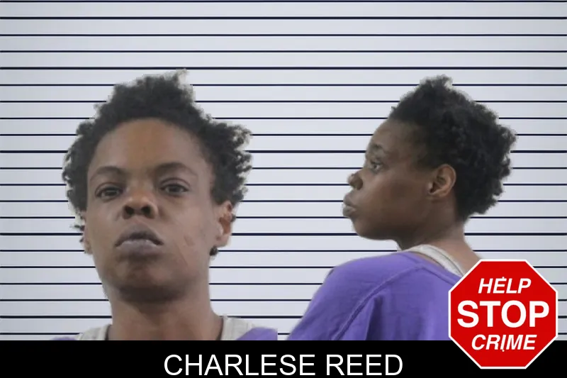 Charlese Reed mugshot – Houston County , Georgia Charlese Reed mugshot