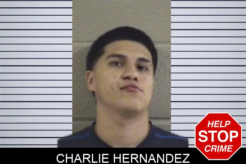 Charlie Hernandez mugshot