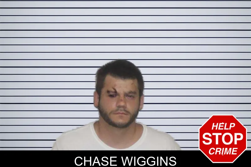 Chase Wiggins mugshot