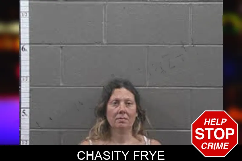 Chasity Frye mugshot