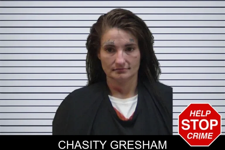 Chasity Gresham mugshot – Madison County , Georgia Chasity Gresham