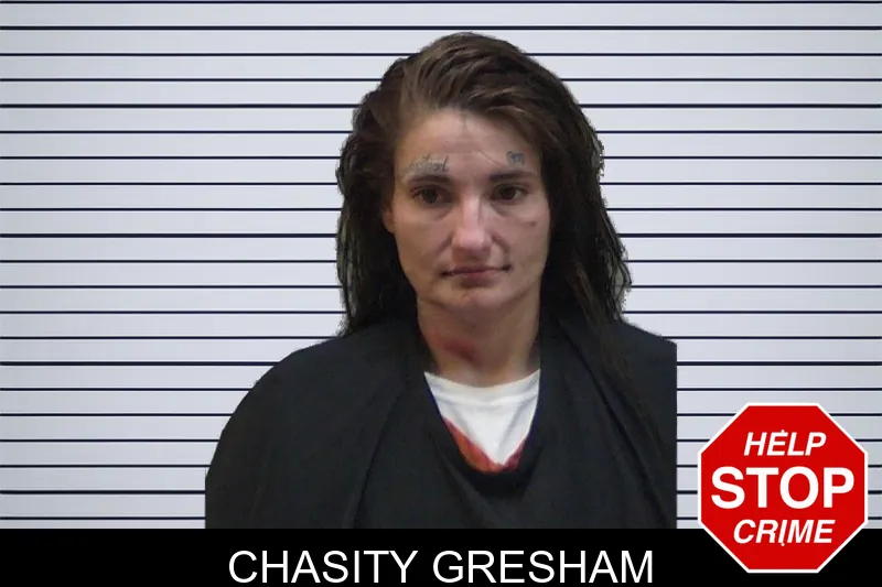 Chasity Gresham mugshot – Madison County , Georgia Chasity Gresham mugshot