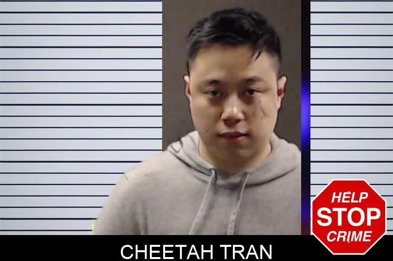 Cheetah Tran mugshot