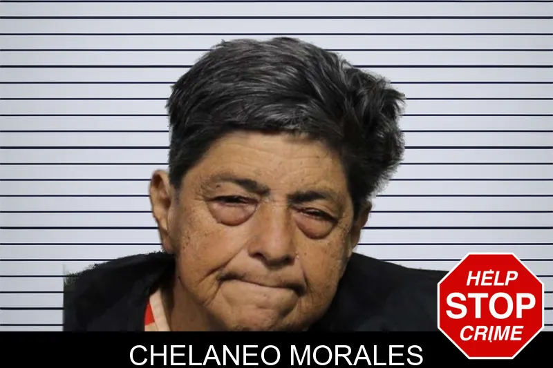 Chelaneo Morales mugshot