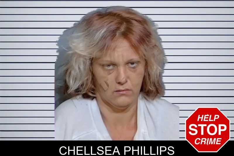 Chellsea Phillips mugshot – Glynn County , Georgia Chellsea Phillips mugshot