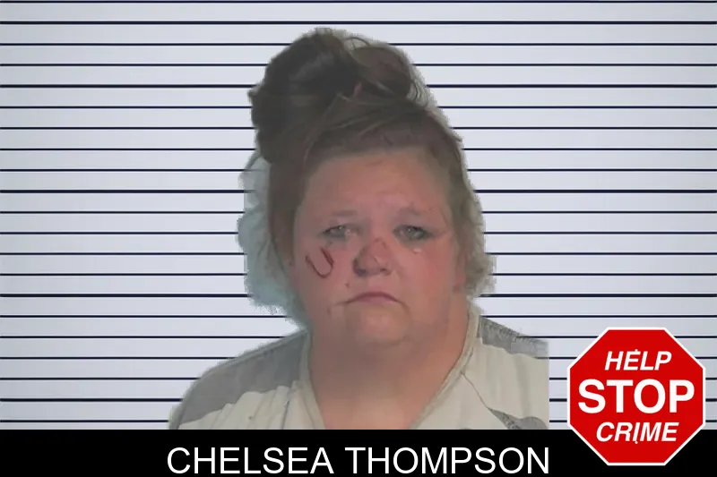 Chelsea Thompson mugshot – Berrien County , Georgia Chelsea Thompson mugshot