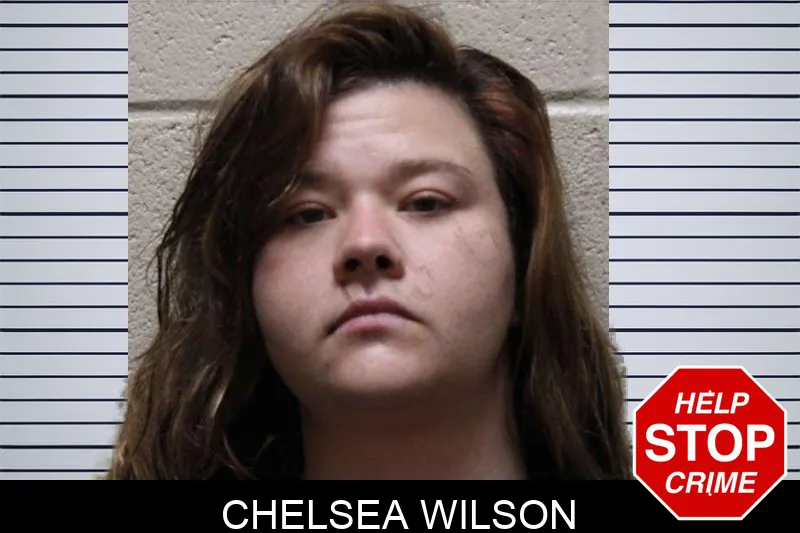 Chelsea Wilson mugshot – Haralson County , Georgia Chelsea Wilson mugshot