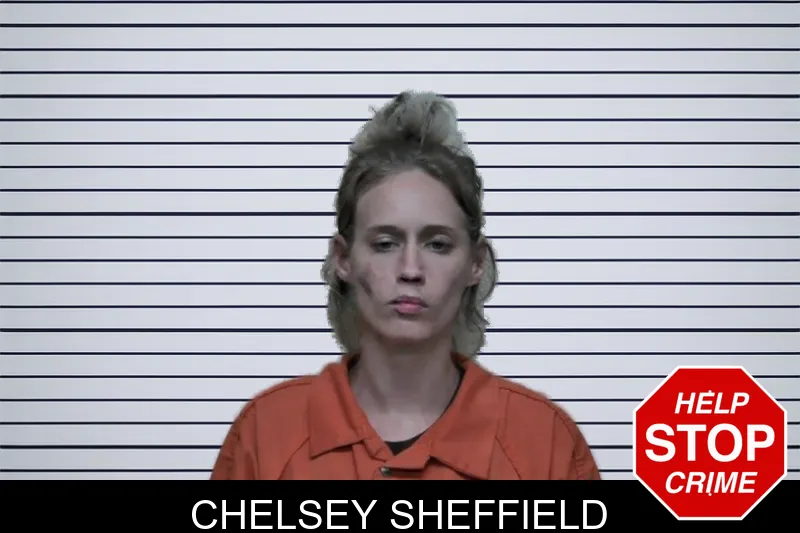 Chelsey Sheffield mugshot
