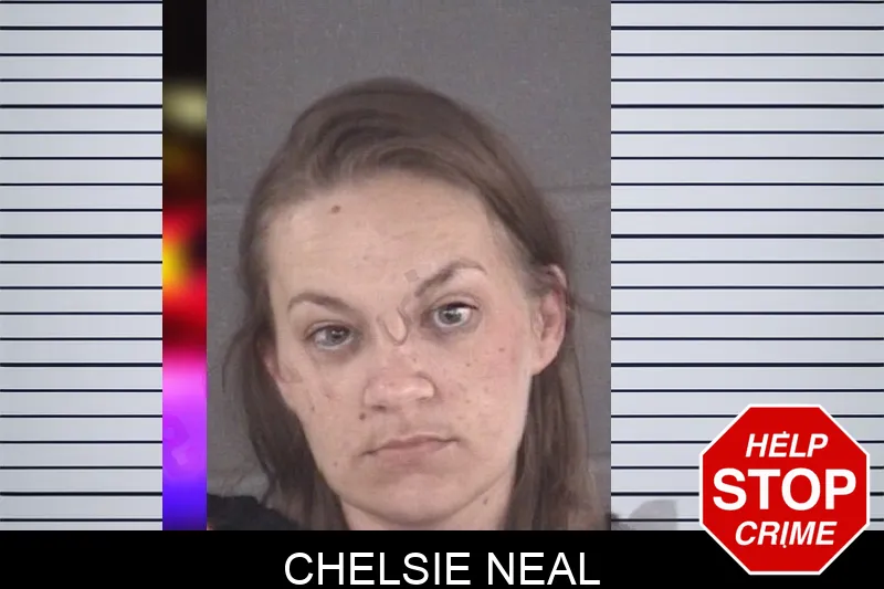 Chelsie Neal mugshot