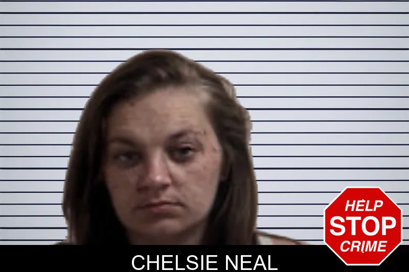 Chelsie Neal mugshot