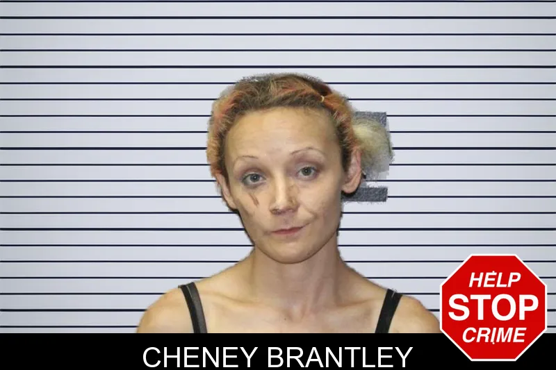 Cheney Brantley mugshot