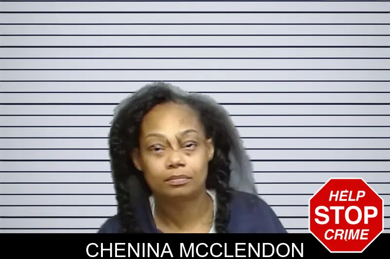 Chenina McClendon mugshot