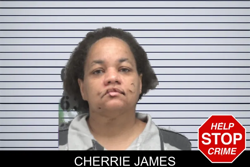 Cherrie James mugshot