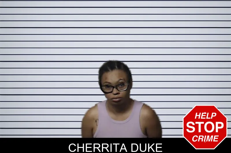Cherrita Duke mugshot