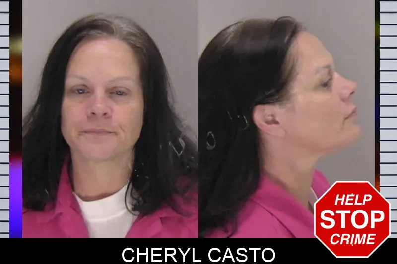 Cheryl Casto mugshot