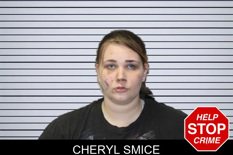 Cheryl Smice mugshot