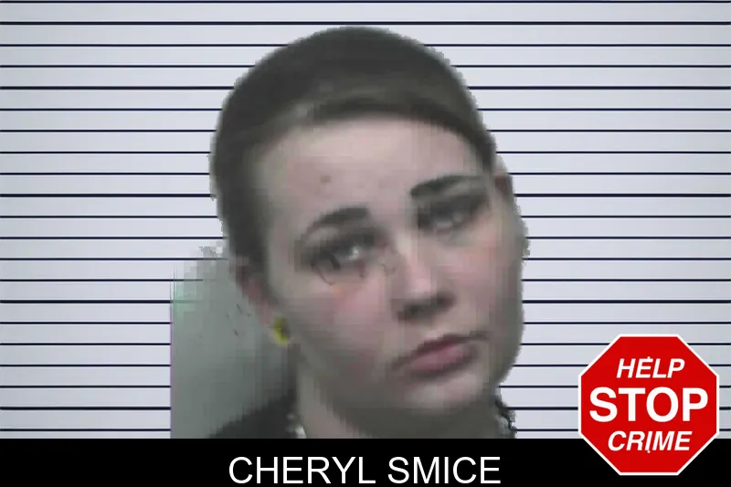 Cheryl Smice mugshot
