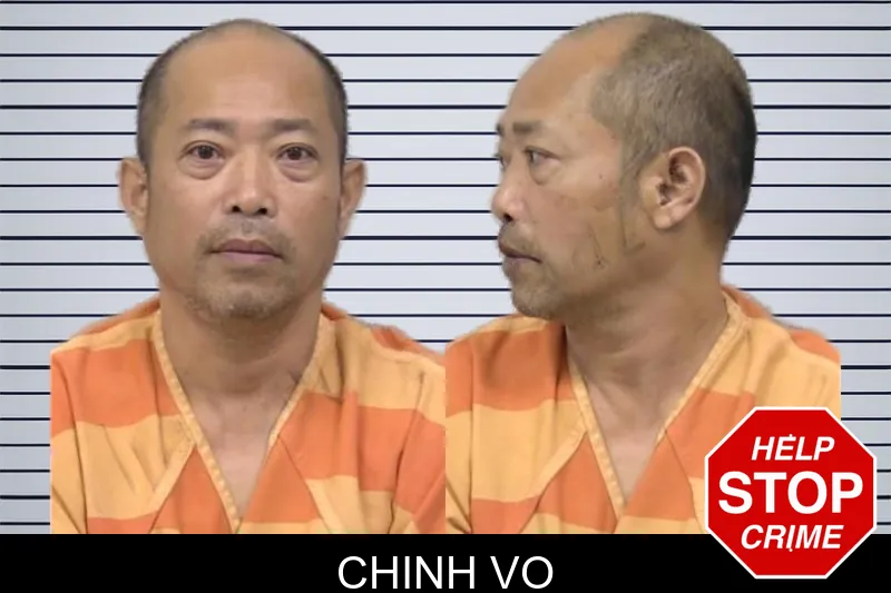 Chinh Vo mugshot