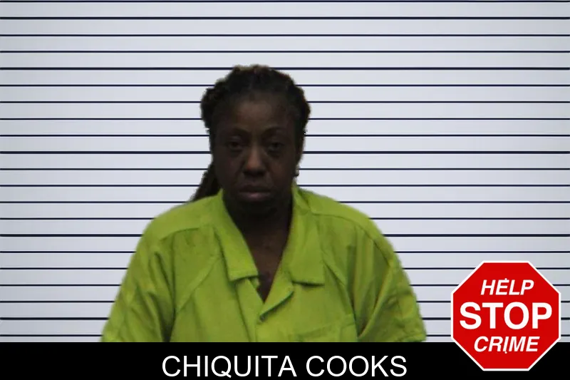 Chiquita Cooks mugshot – Turner County , Georgia Chiquita Cooks mugshot