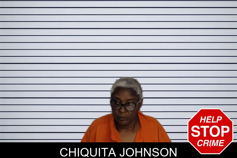 Chiquita Johnson mugshot