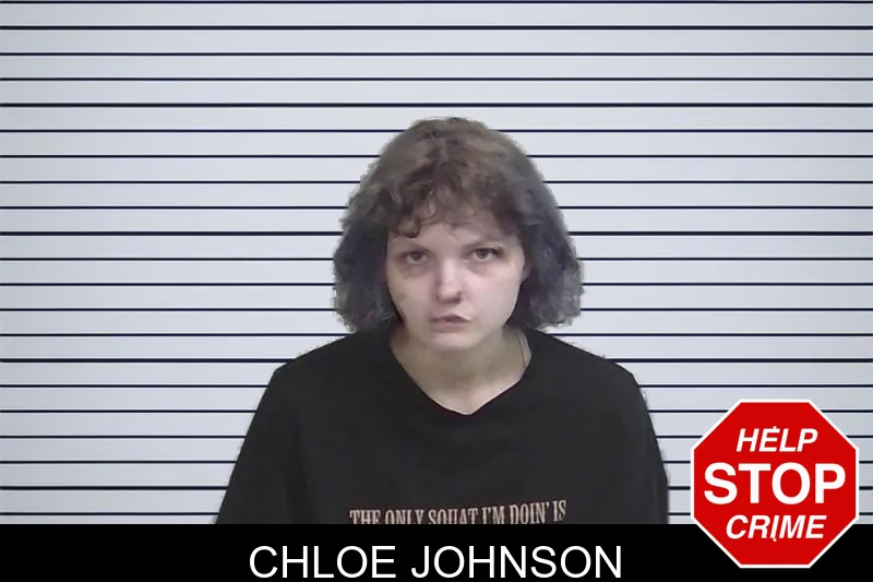 Chloe Johnson mugshot – Wayne County , Georgia Chloe Johnson mugshot