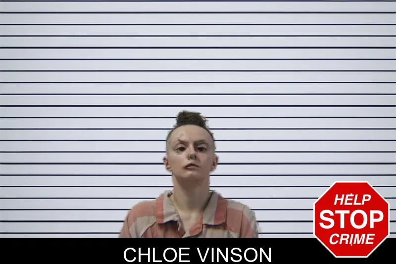 Chloe Vinson mugshot – Stephens County , Georgia Chloe Vinson mugshot