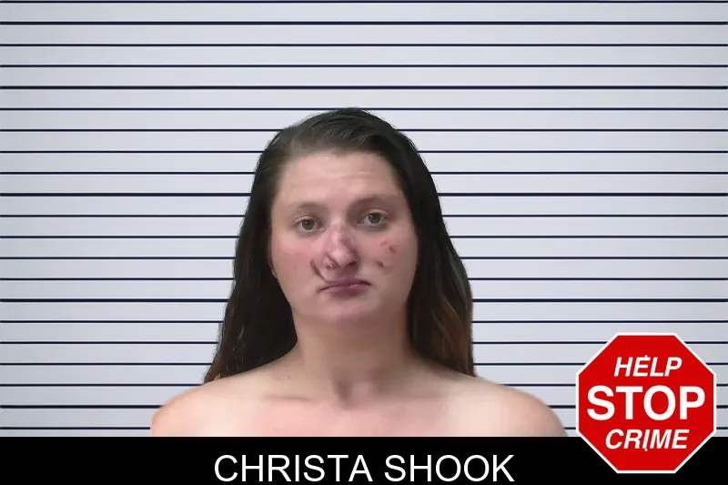 Christa Shook mugshot