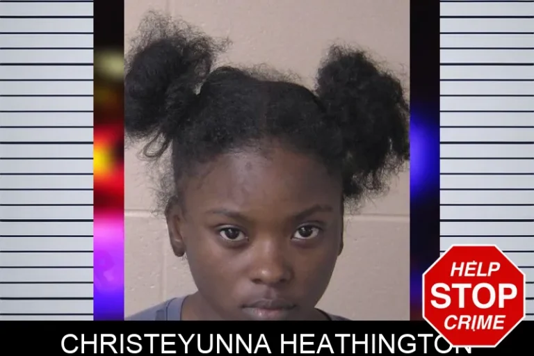 Christeyunna Heathington mugshot – Walker County , Georgia Christeyunna Heathington