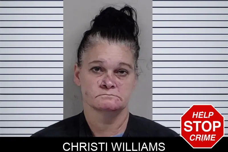 Christi Williams mugshot