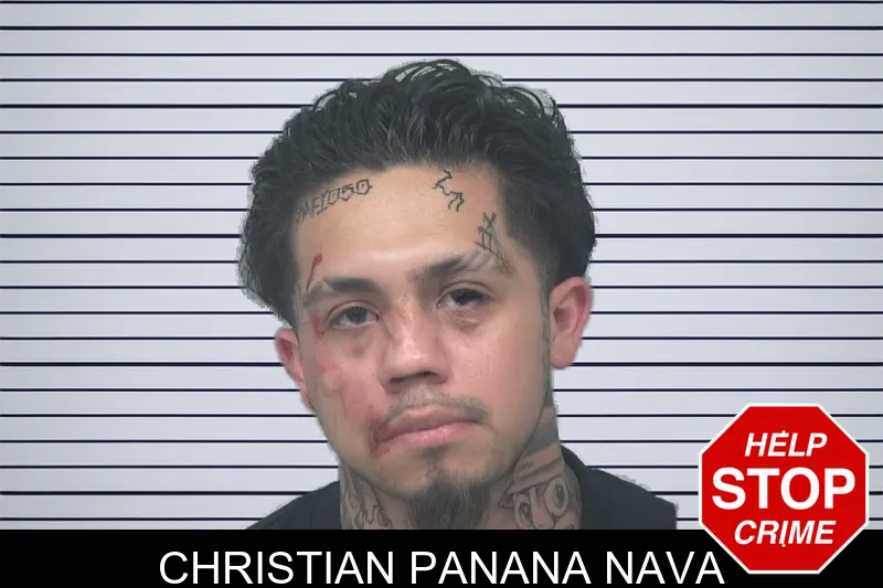 Christian Panana Nava mugshot