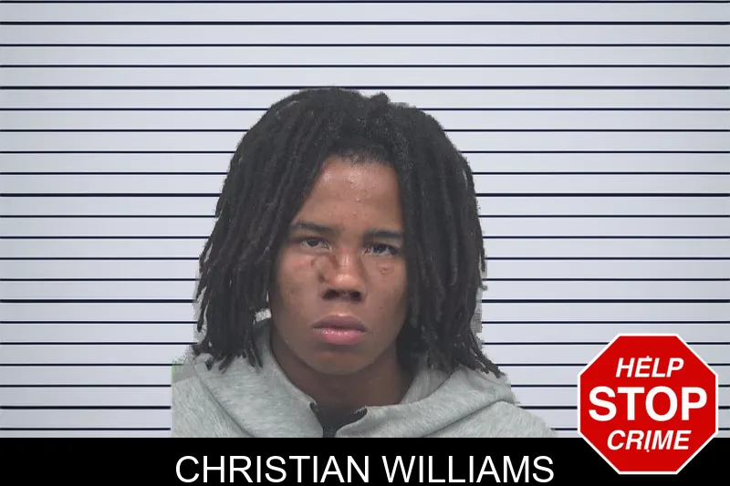 Christian Williams mugshot – Gwinnett County , Georgia Christian Williams mugshot