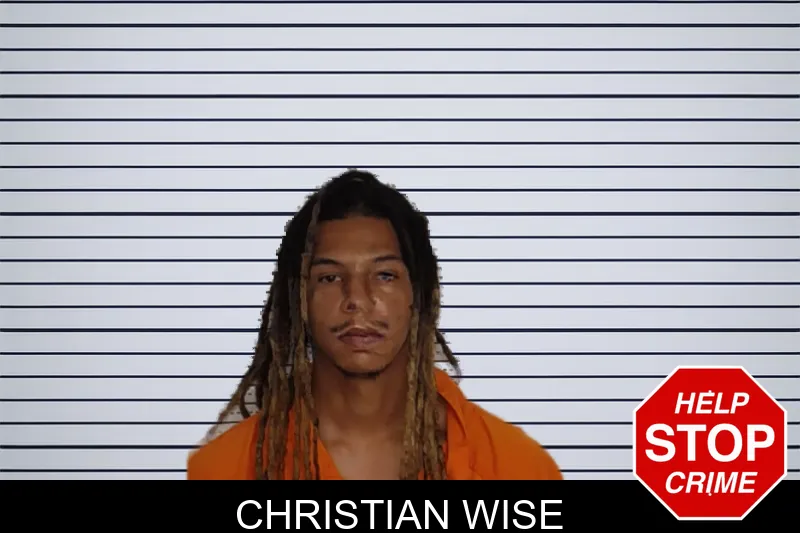 Christian Wise mugshot
