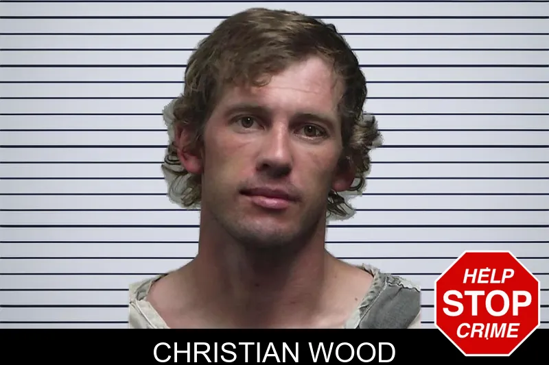 Christian Wood mugshot