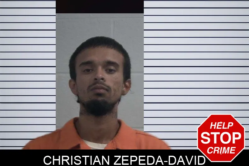 Christian Zepeda-David mugshot