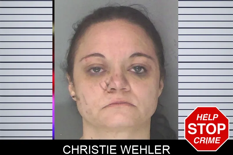 Christie Wehler mugshot