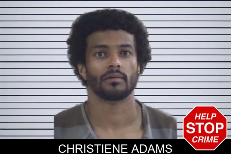 Christiene Adams mugshot – Whitfield County , Georgia Christiene Adams